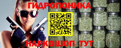 молекула духа Гагарин