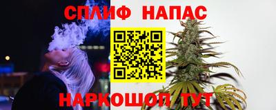 винт Гатчина
