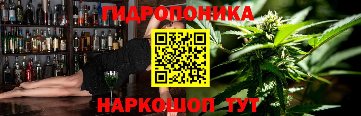 Гатчина  Конопля OG Kush  Бошки Шишки гибрид  Вход с VPN  МАРИХУАНА тримм 
